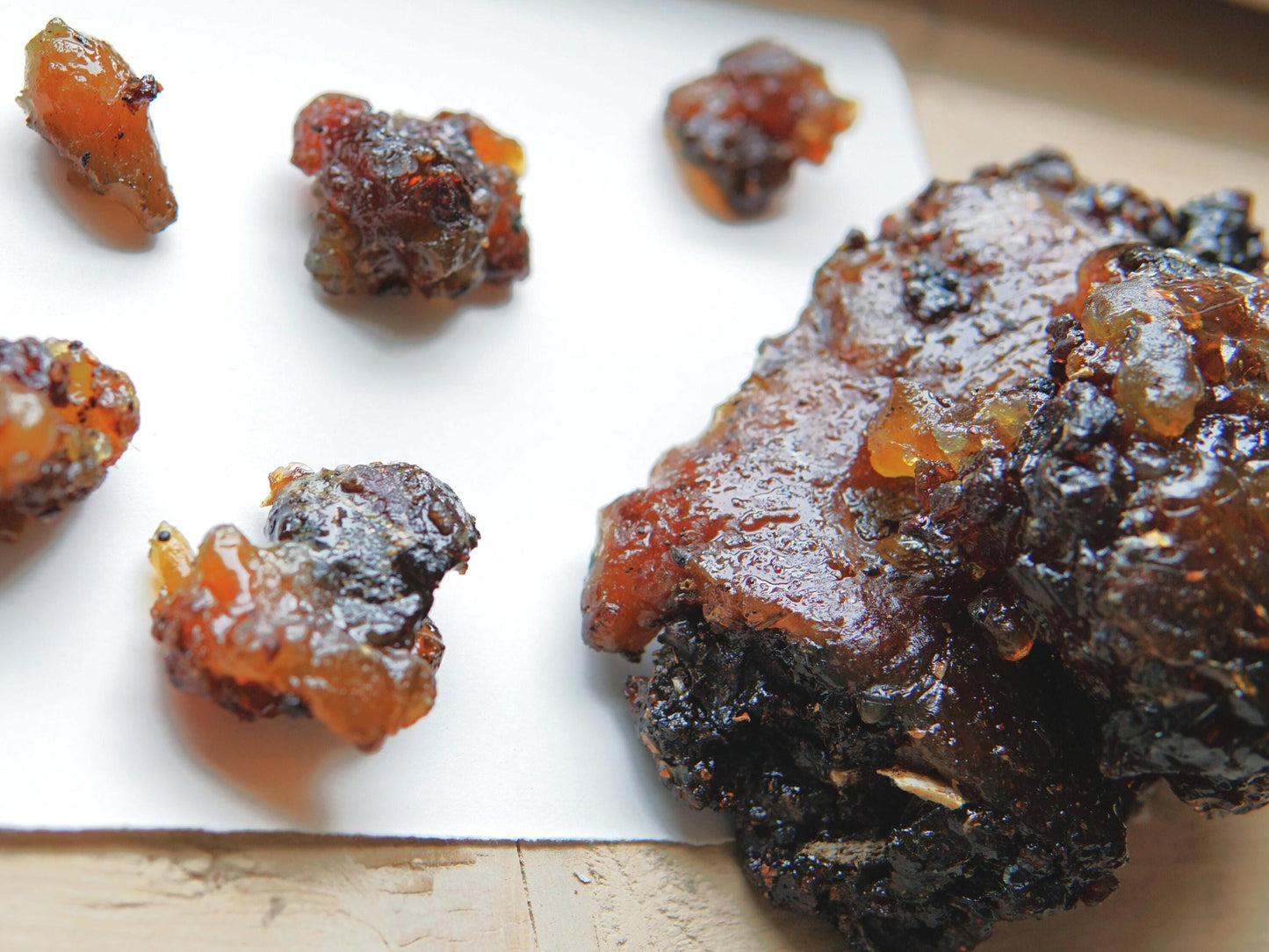 Rare Socotran Myrrh - Commiphora ornifolia