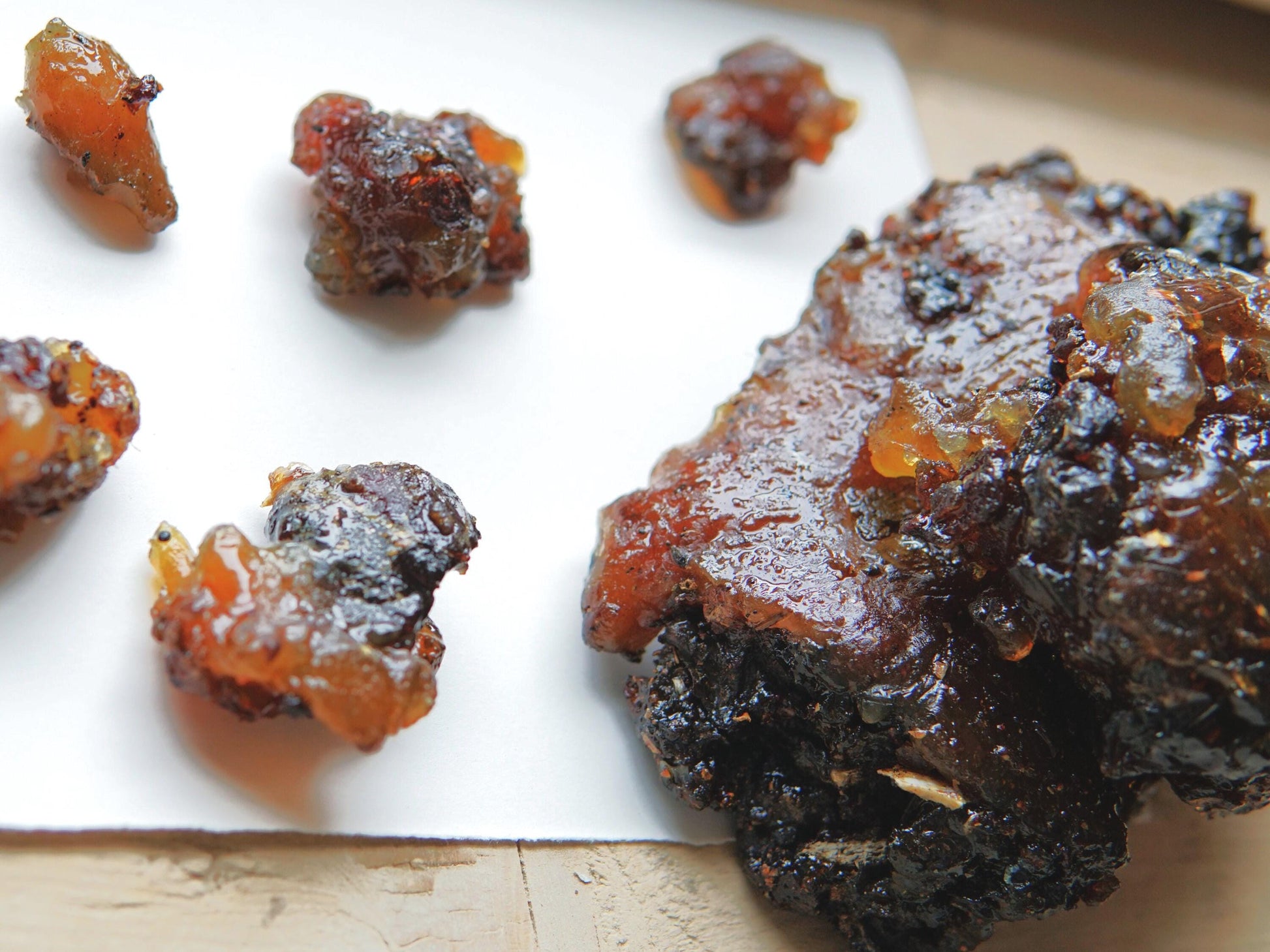 Rare Socotran Myrrh - Commiphora ornifolia