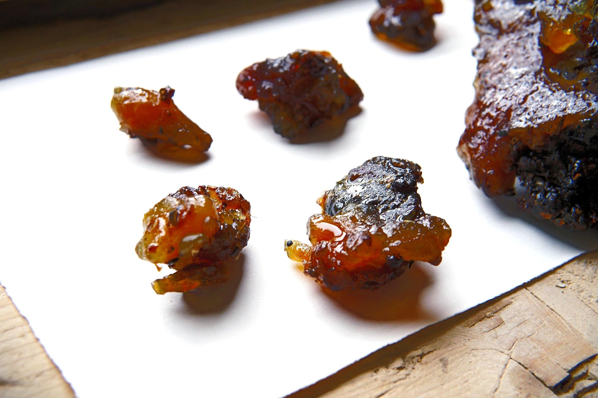 Rare Socotran Myrrh - Commiphora ornifolia