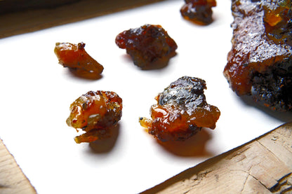 Rare Socotran Myrrh - Commiphora ornifolia