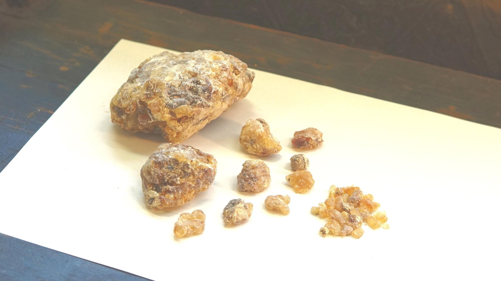 Socotran Frankincense - Boswellia dioscoridis