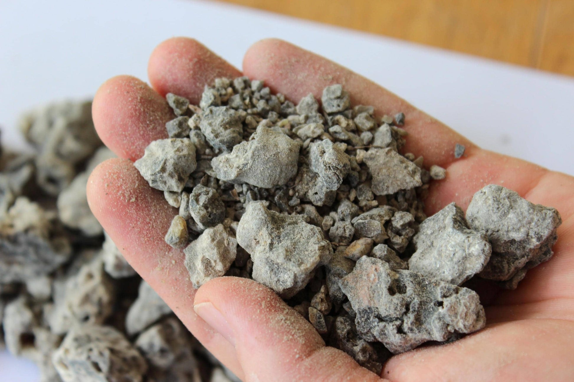 May include: A close-up of a hand holding a collection of small, grey rocks. The rocks are of varying sizes and have a rough, textured appearance. The background is blurred.
