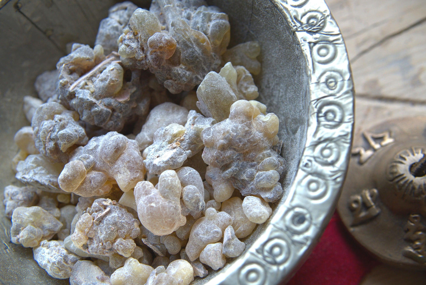 New Species Frankincense - 'Dark' Boswellia occulta
