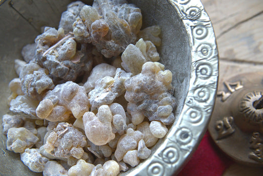 New Species Frankincense - 'Dark' Boswellia occulta