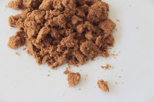 Weeping Cypress Powder from Vietnam