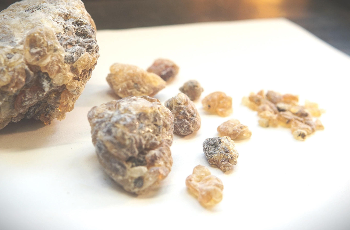 Socotran Frankincense - Boswellia dioscoridis