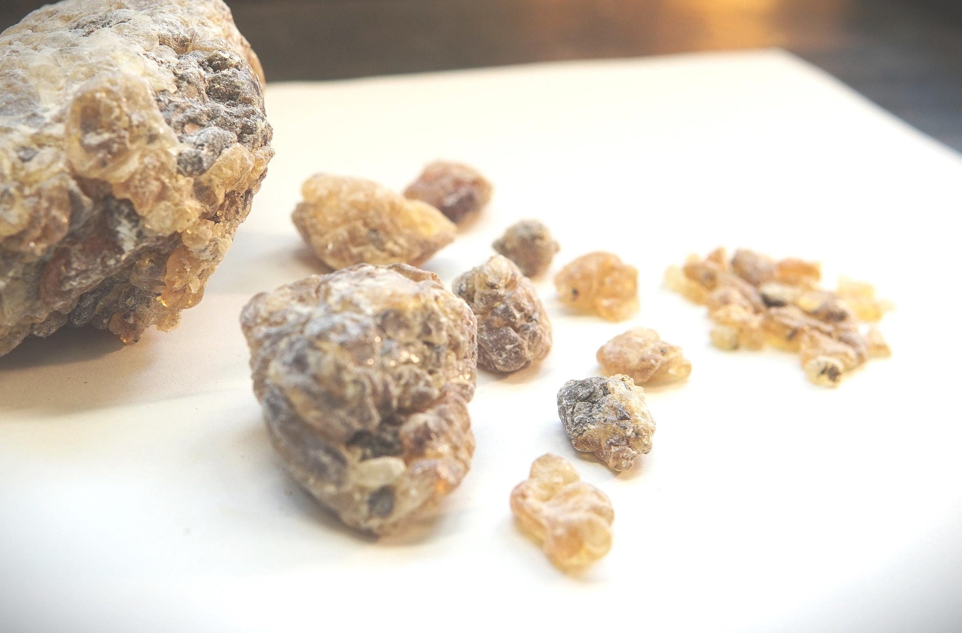 Socotran Frankincense - Boswellia dioscoridis